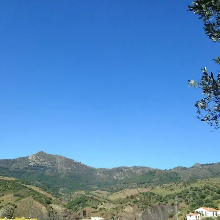 Village דירה